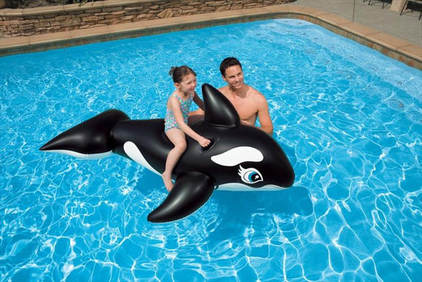 Opblaasbare walvis groot model